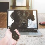 best laptop under 500