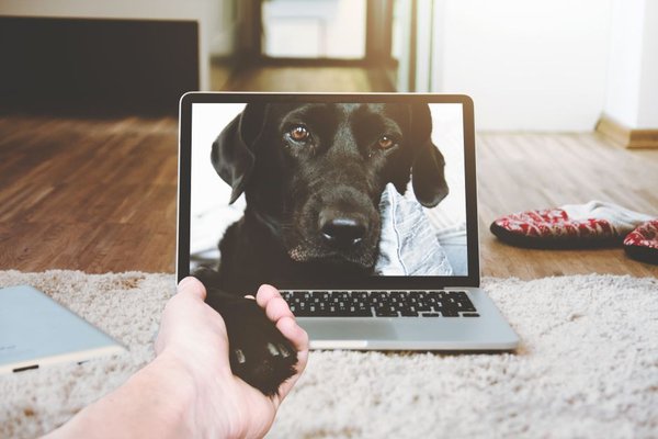 best laptop under 500