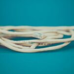 what is an ethernet cable